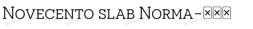 Novecento slab Norma字体转换
